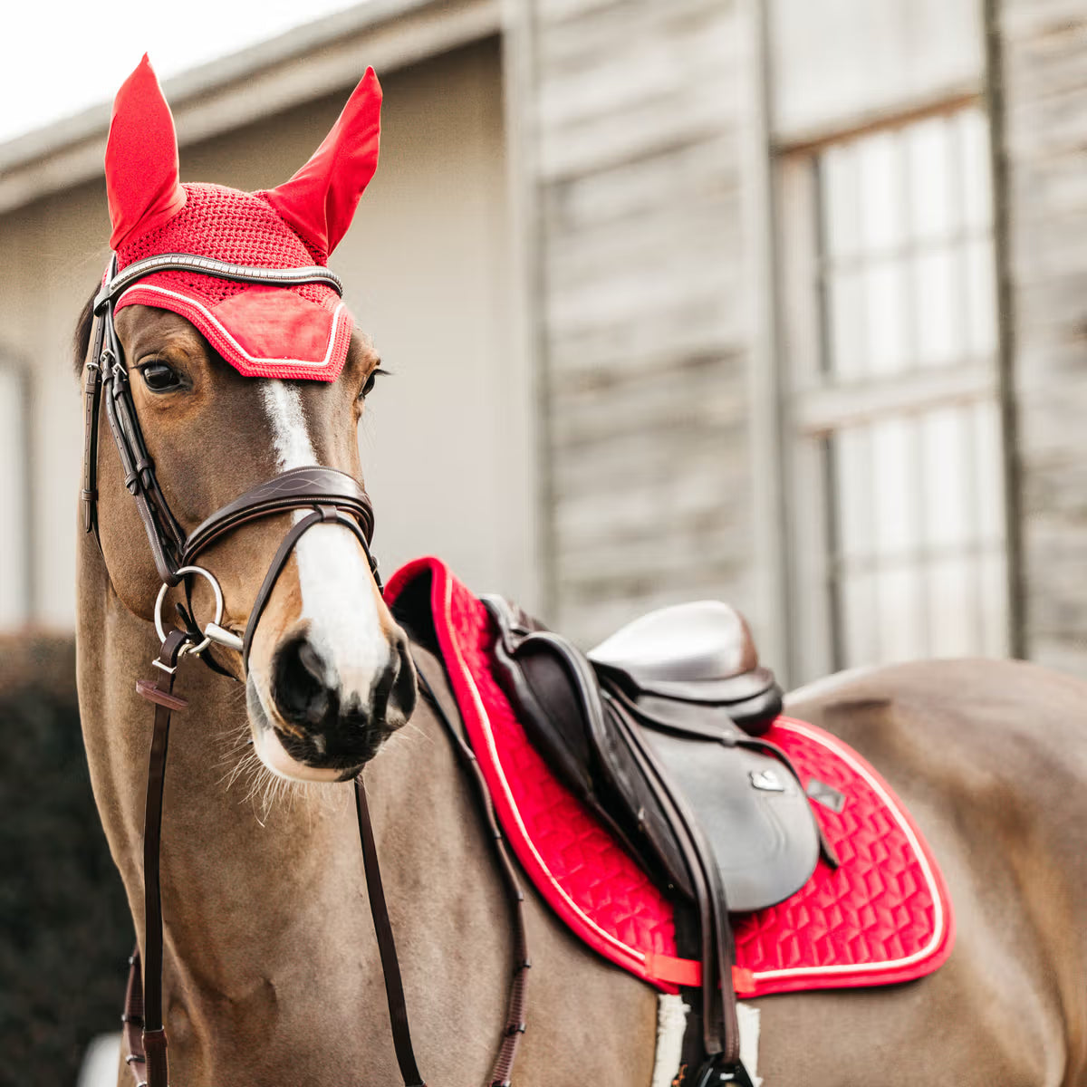 Kentucky Saddle Pad Velvet - Jumping