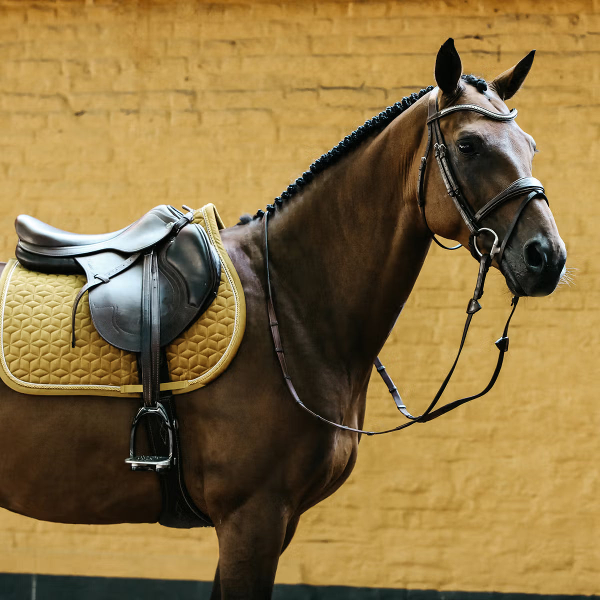 Kentucky Saddle Pad Velvet - Jumping