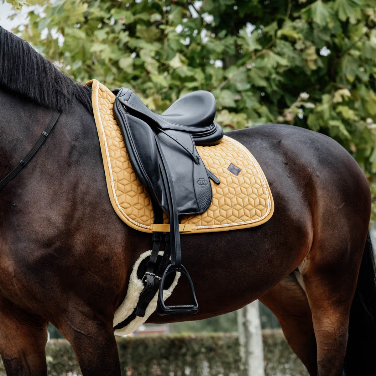 Kentucky Saddle Pad Velvet - Dressage