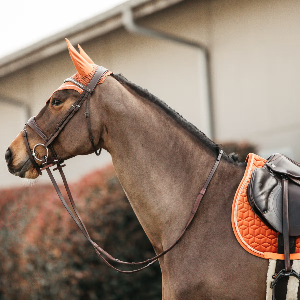 Kentucky Saddle Pad Velvet - Jumping