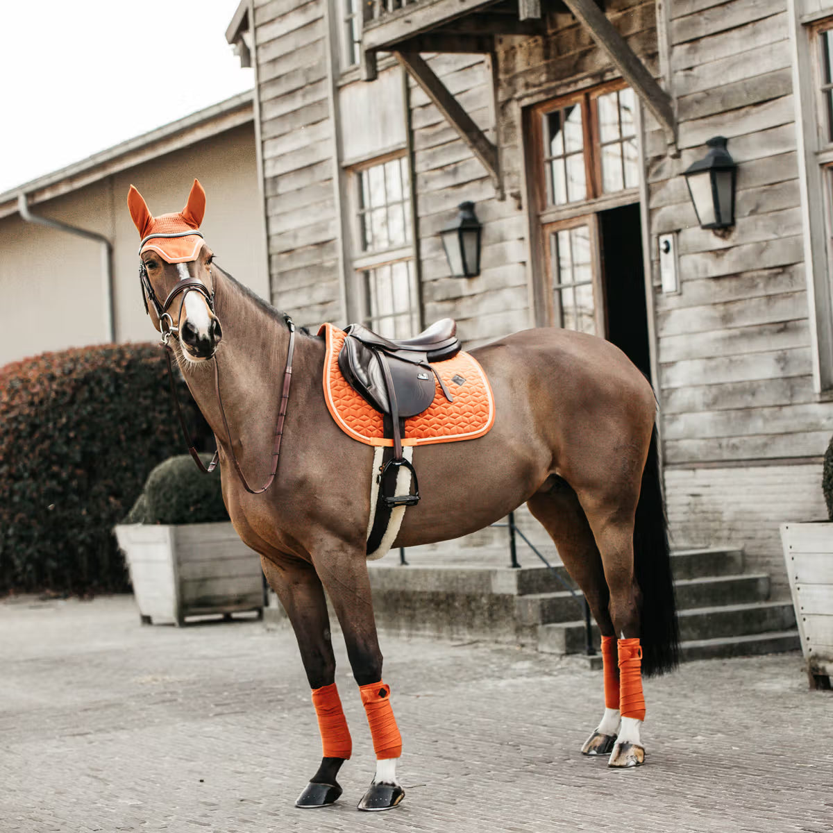 Kentucky Saddle Pad Velvet - Jumping