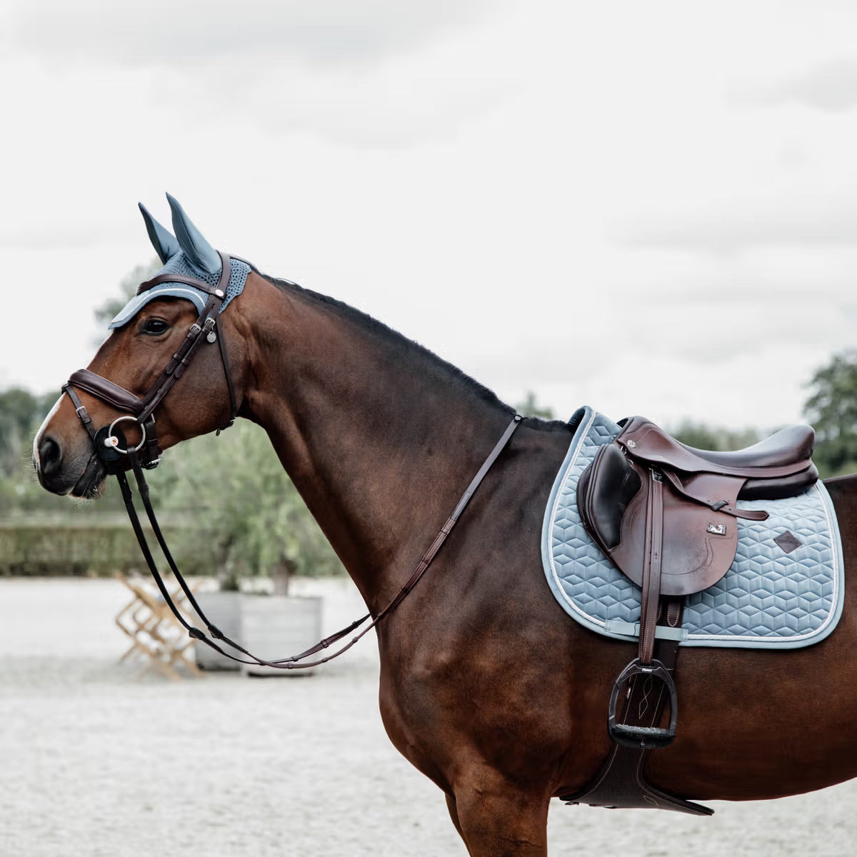 Kentucky Saddle Pad Velvet - Jumping