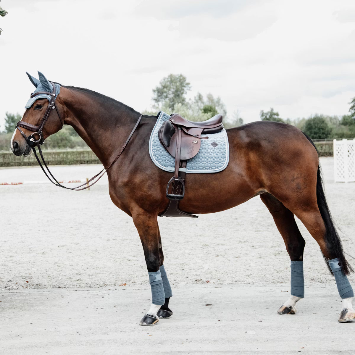 Kentucky Saddle Pad Velvet - Jumping
