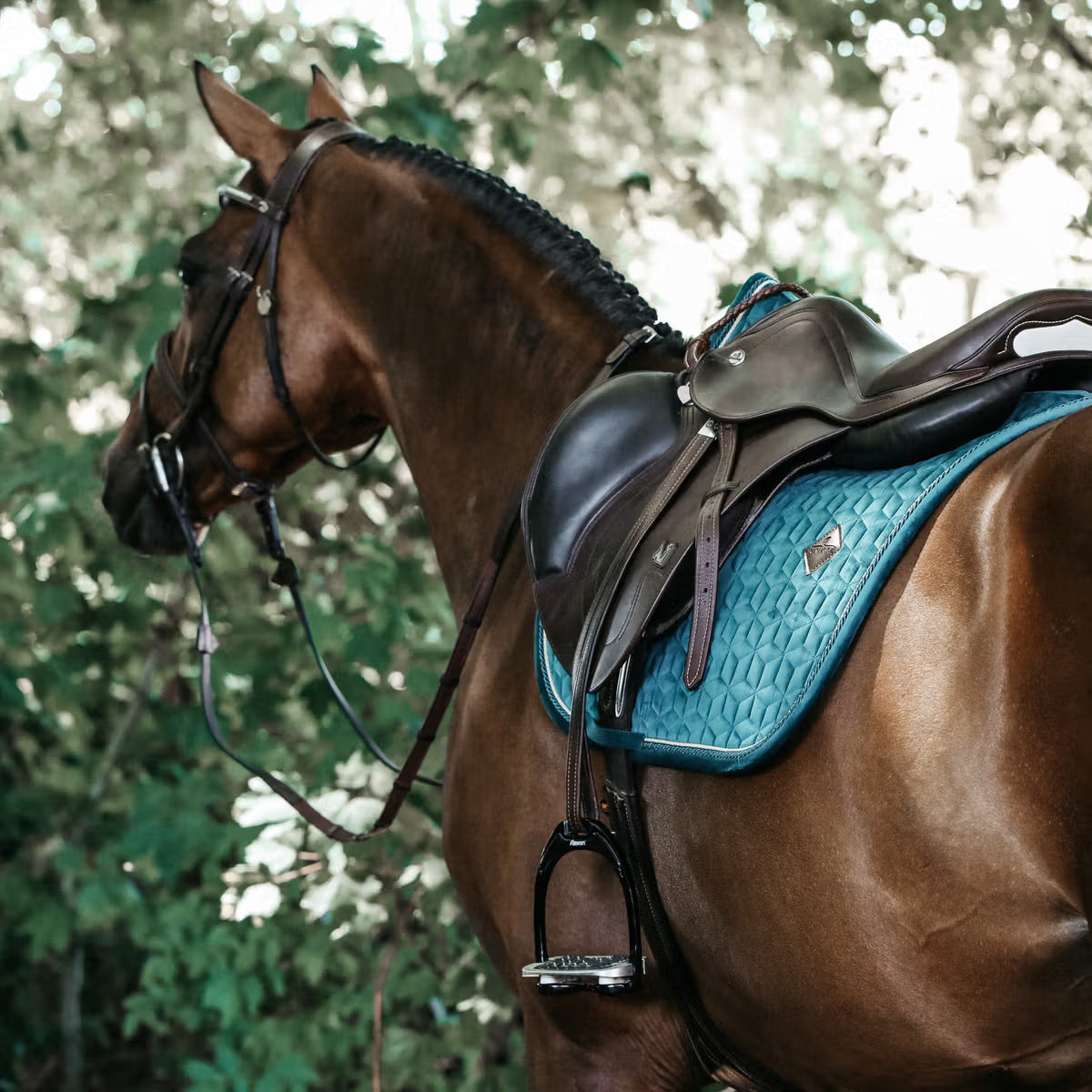 Kentucky Saddle Pad Velvet - Jumping