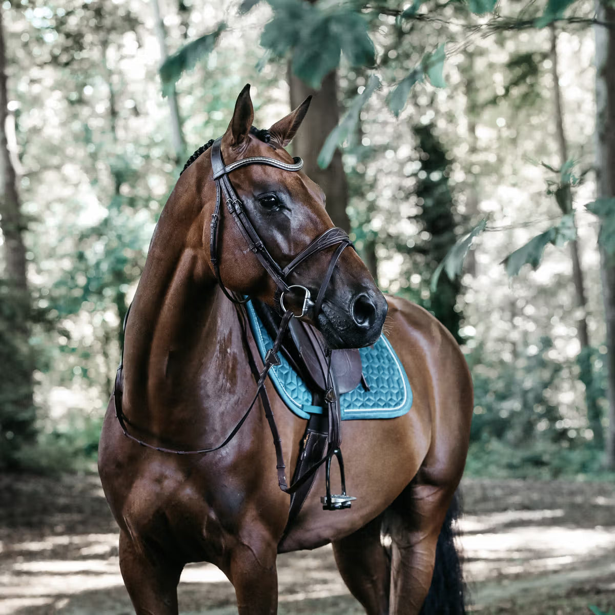 Kentucky Saddle Pad Velvet - Jumping