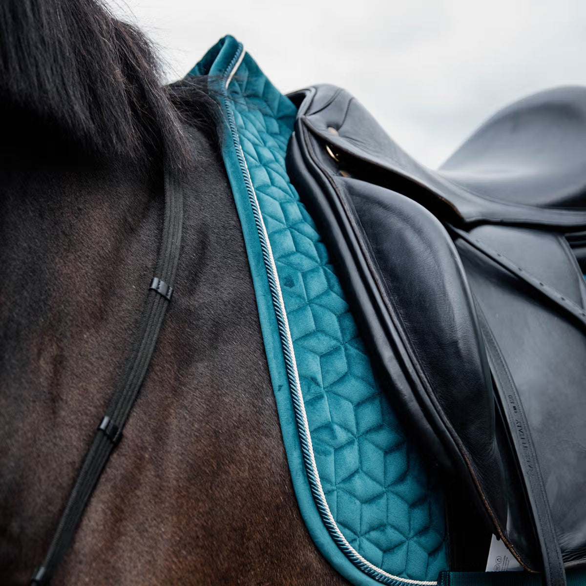 Kentucky Saddle Pad Velvet - Dressage