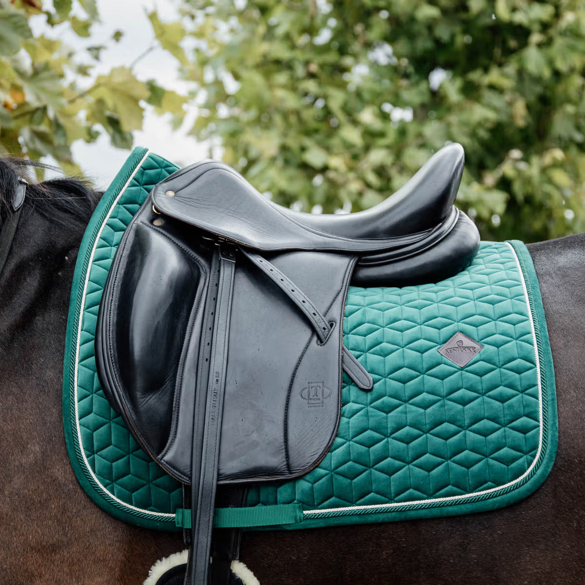 Kentucky Saddle Pad Velvet - Dressage