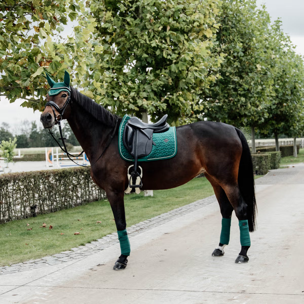 Kentucky Saddle Pad Velvet - Dressage