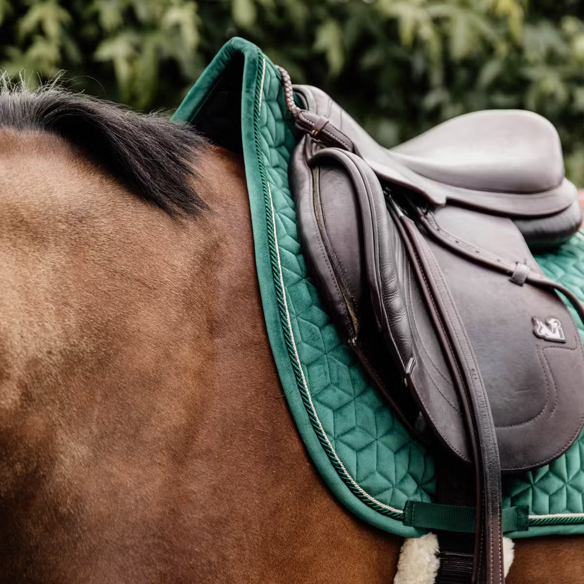 Kentucky Saddle Pad Velvet - Jumping
