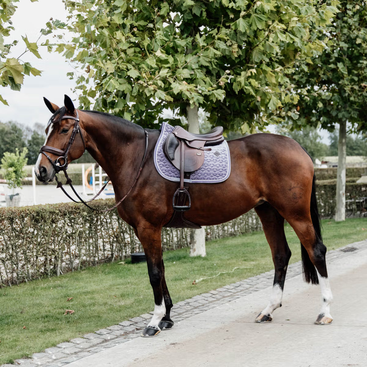 Kentucky Saddle Pad Velvet - Jumping