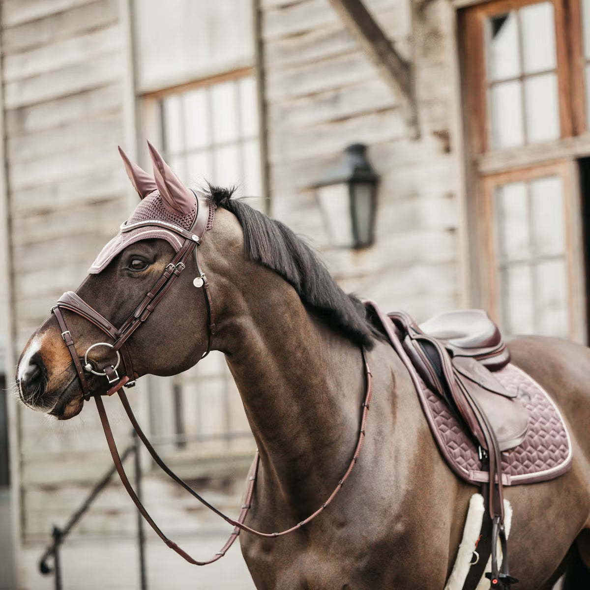 Kentucky Saddle Pad Velvet - Jumping