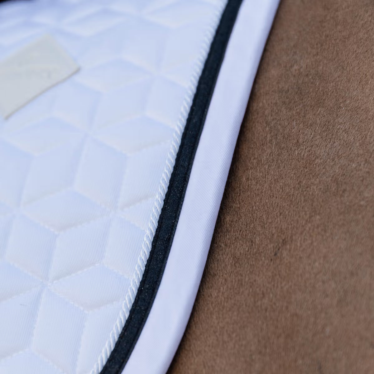 Kentucky Saddle Pad Glitter Rope - Jumping