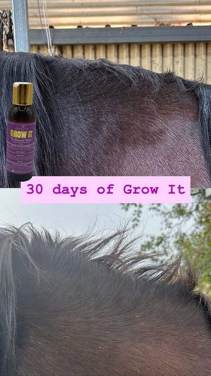 Horse Queened Grow It