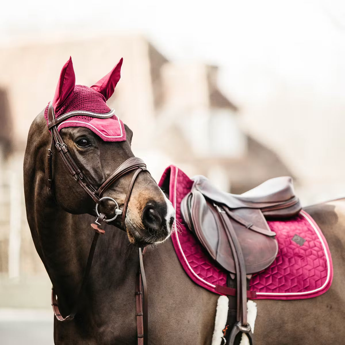 Kentucky Saddle Pad Velvet - Jumping