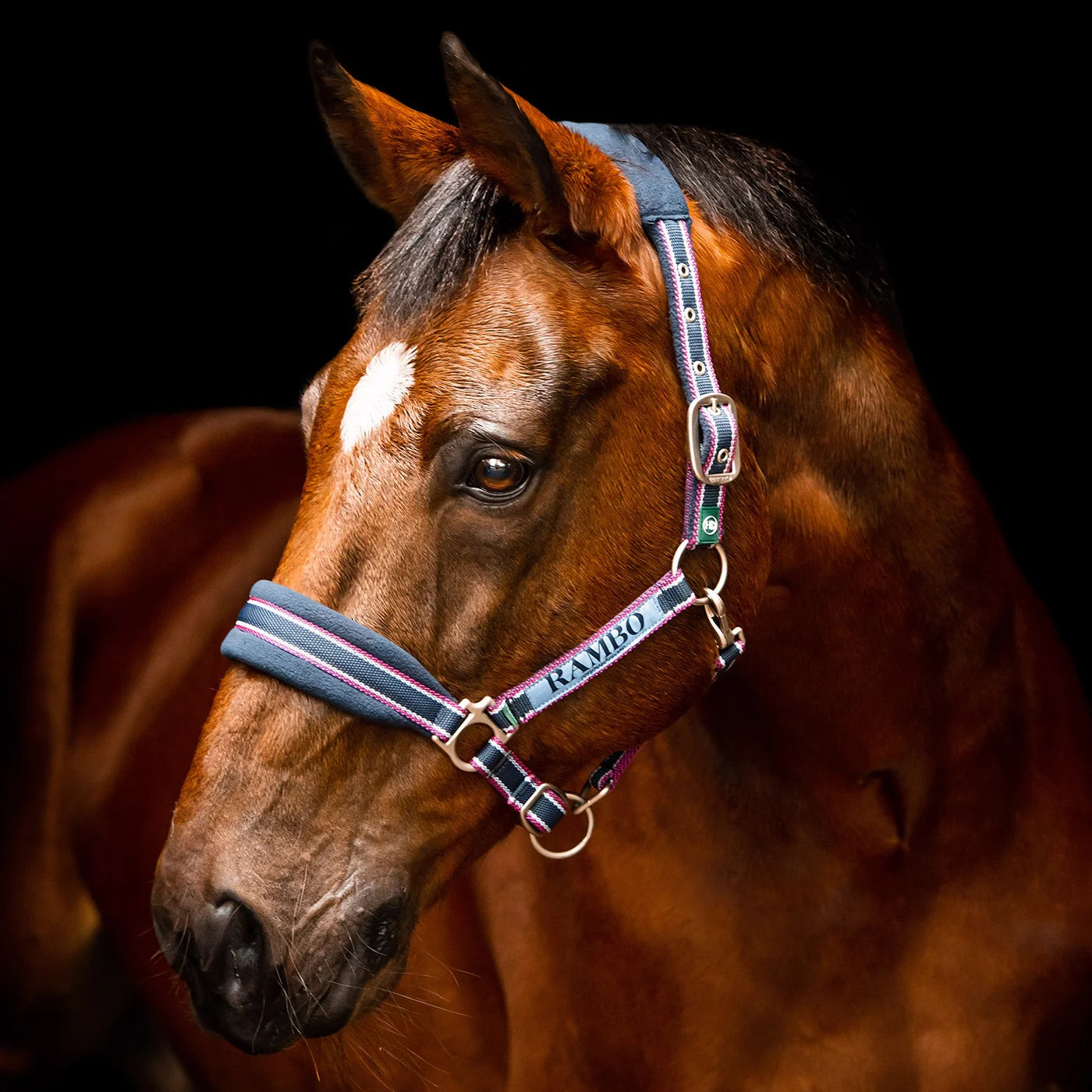 Rambo Padded Headcollar