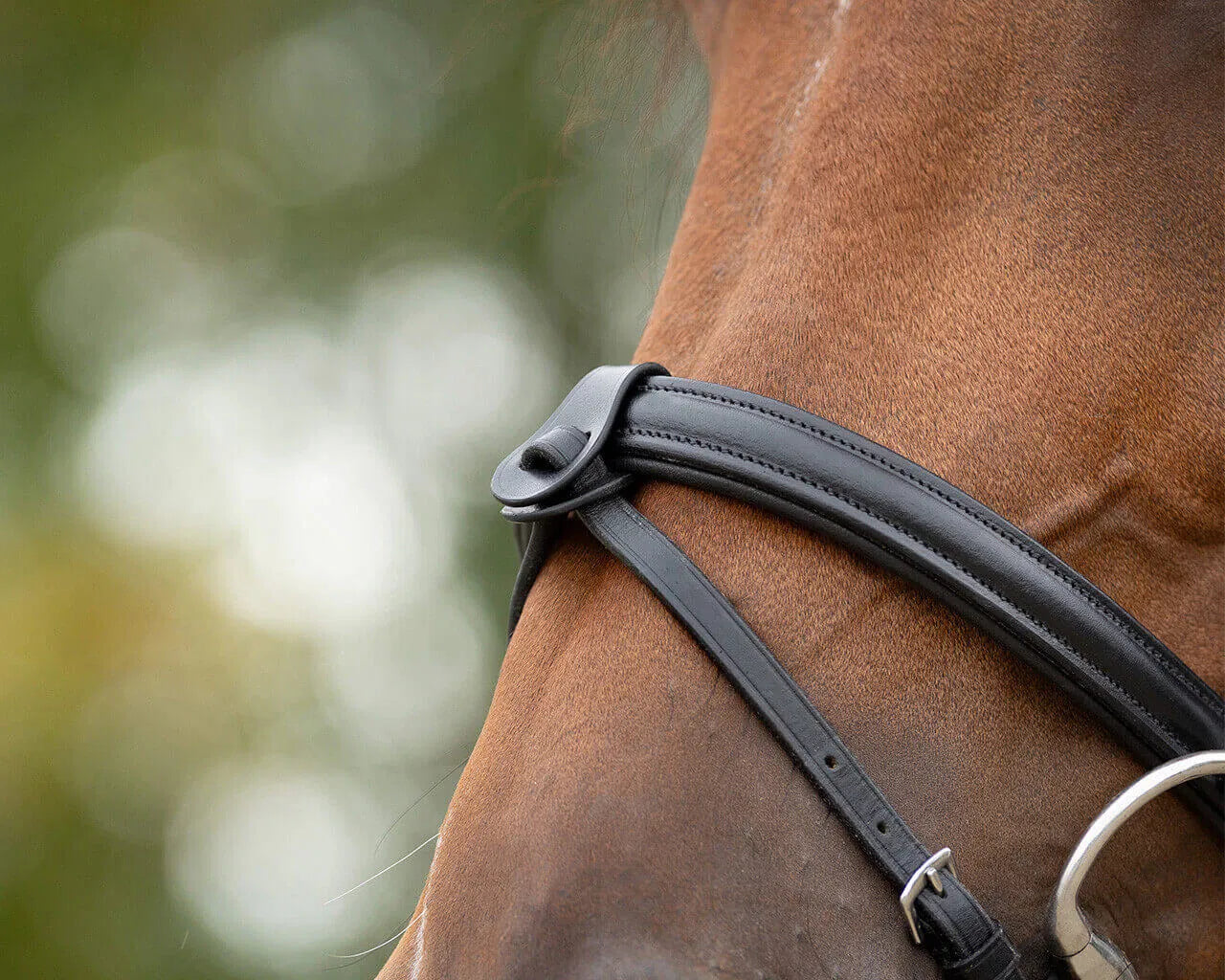 QHP Flash Noseband Converter Loop