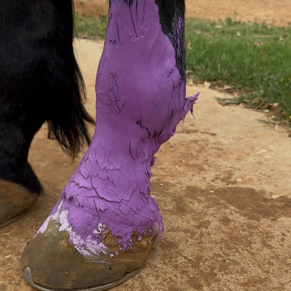 Horse Queened Mask It