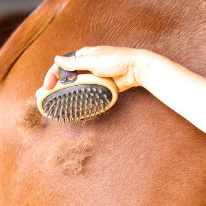 Ippico Equestrian "Swift" Curry Comb