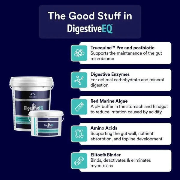 Poseidon Equine DigestiveEQ
