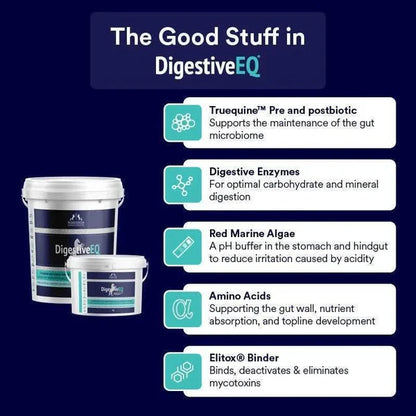 Poseidon Equine DigestiveEQ