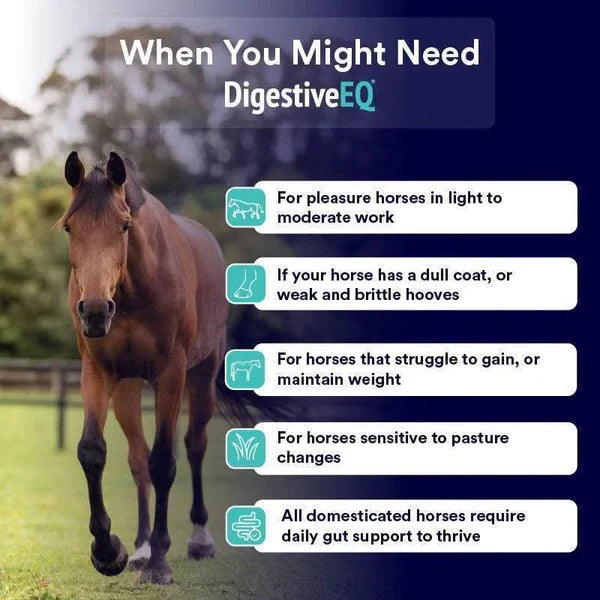 Poseidon Equine DigestiveEQ