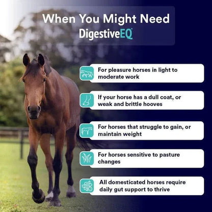 Poseidon Equine DigestiveEQ