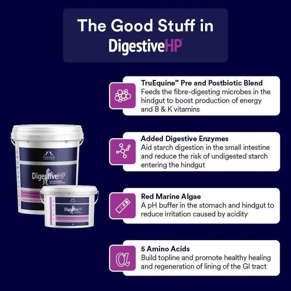 Poseidon Equine DigestiveHP