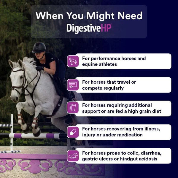 Poseidon Equine DigestiveHP