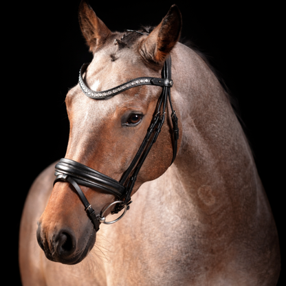 SD Design Antobello Bridle - Black