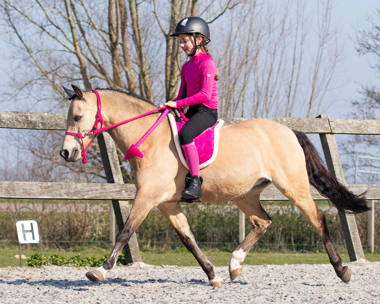 QHP Rope Halter with Rein