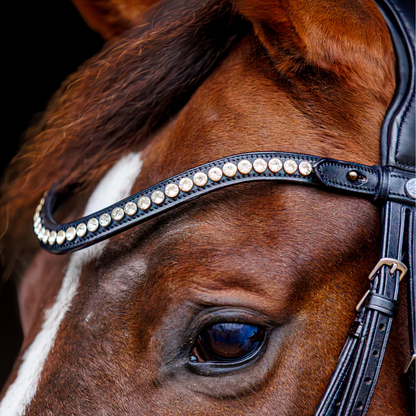 SD Design Marzog Browband - Black/Clear