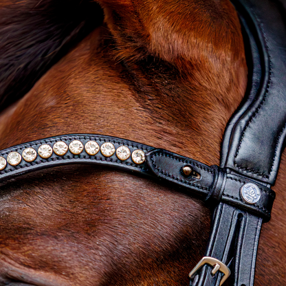 SD Design Marzog Browband - Black/Clear