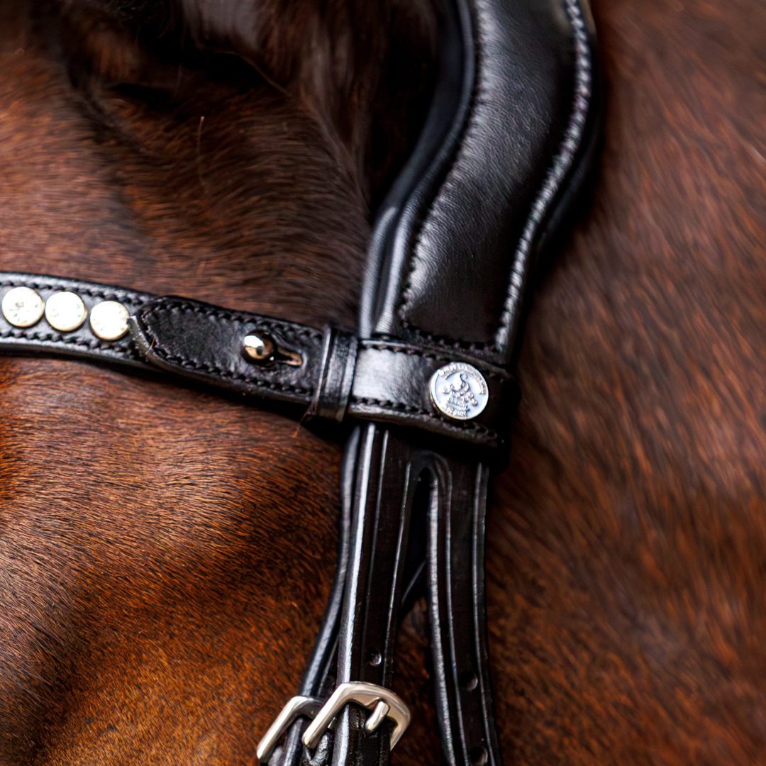SD Design Marzog Browband - Black/Clear