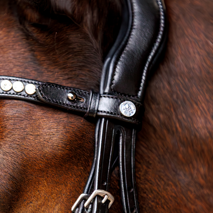 SD Design Marzog Browband - Black/Clear
