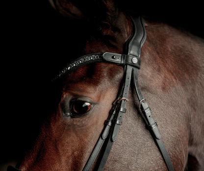 SD Design Antobello Bridle - Black
