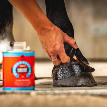 CDM Cornucrescine Daily Hoof Dressing - 500ml