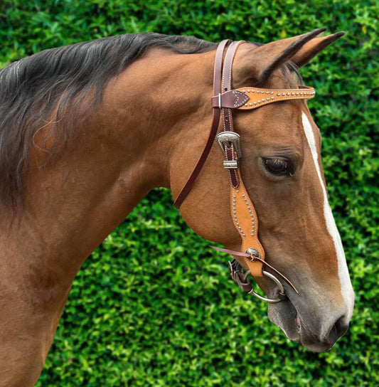 EzyRide Bridle Brow Dots & Silver Buckle