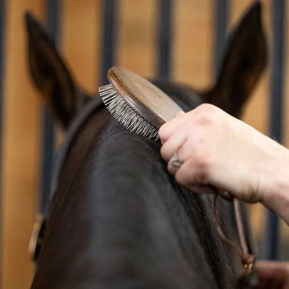 NTR Caress Mane & Tail Brush