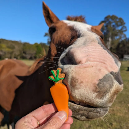 Huds and Toke Carrot Cookies