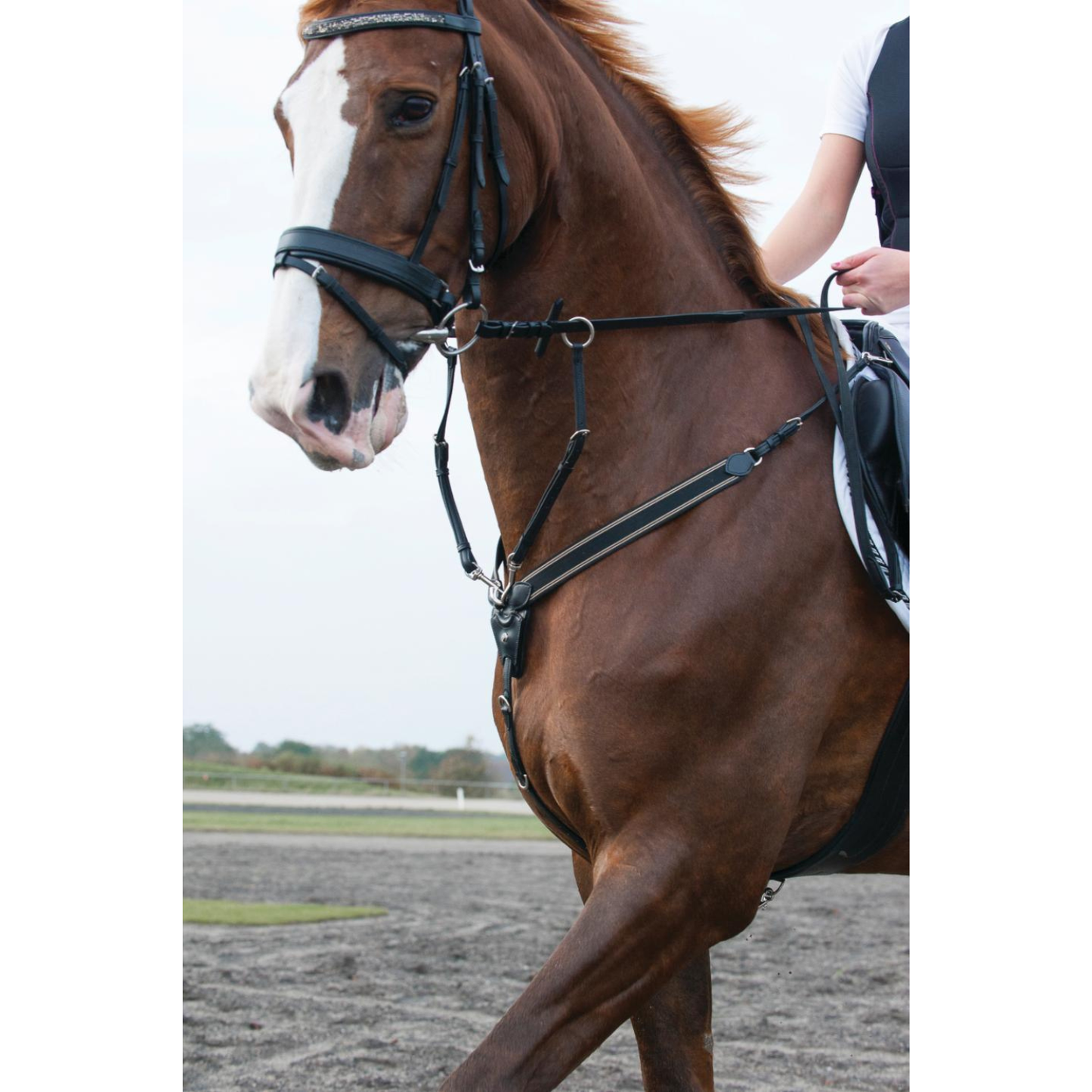 Catago Breastplate with Martingale - Size Full Black Only