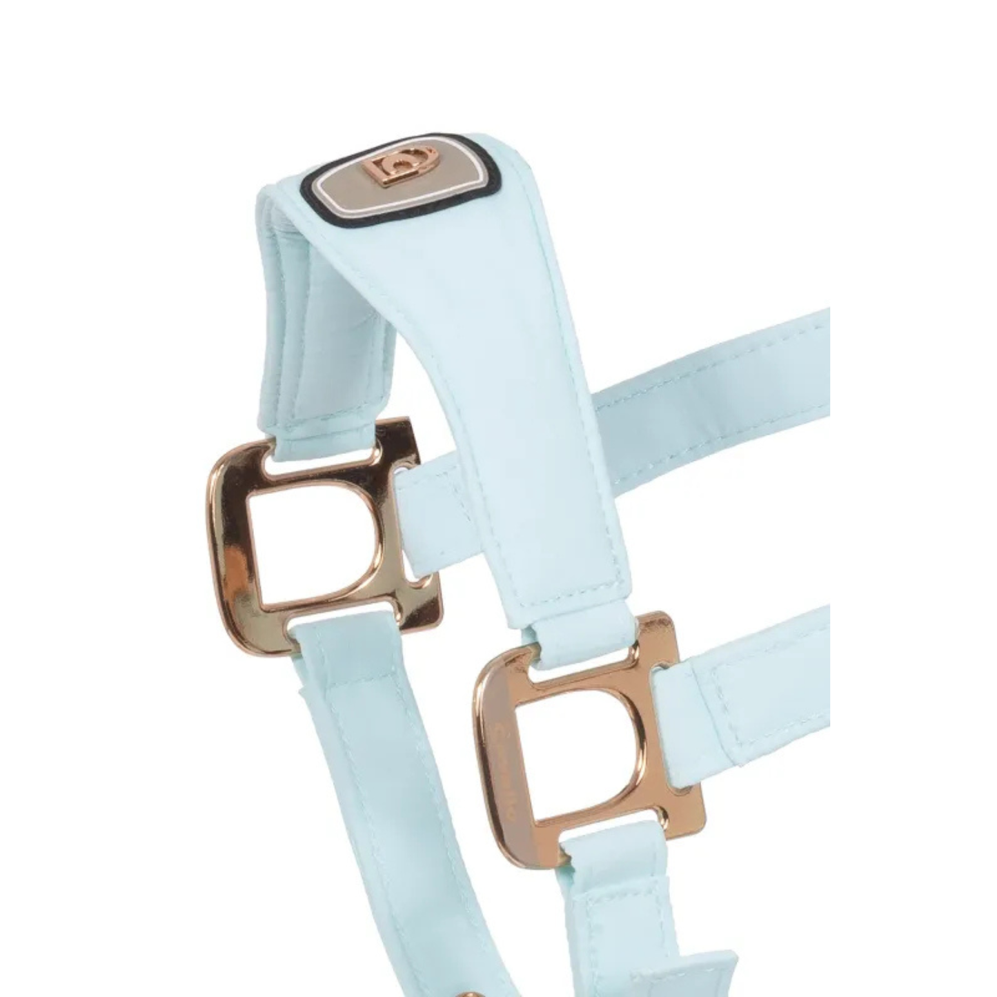 Cavallo CavalPawel Halter