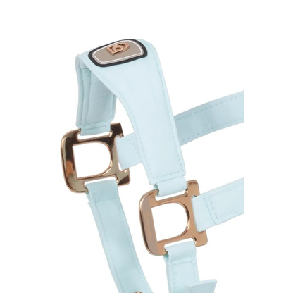 Cavallo CavalPawel Halter