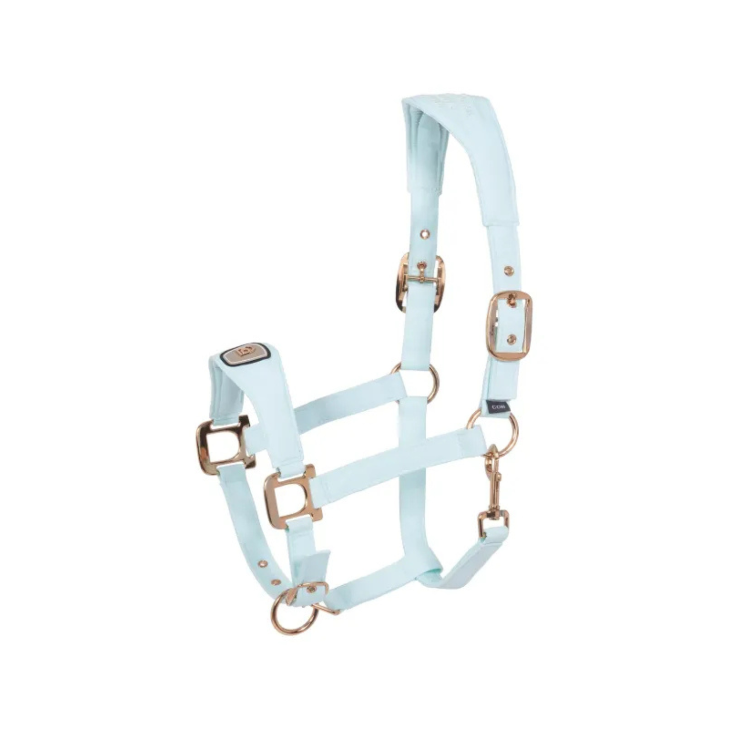Cavallo CavalPawel Halter