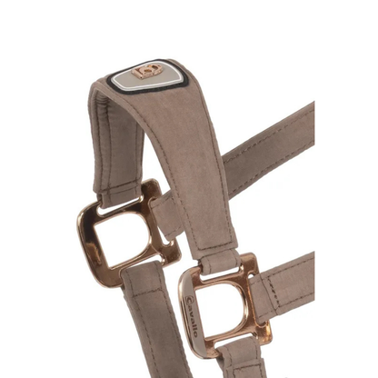 Cavallo CavalPawel Halter