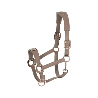 Cavallo CavalPawel Halter
