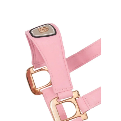 Cavallo CavalPawel Halter