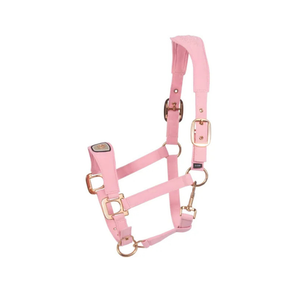 Cavallo CavalPawel Halter