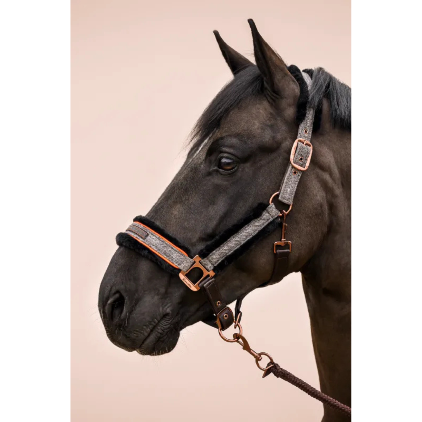 Cavallo CavalLilly Halter