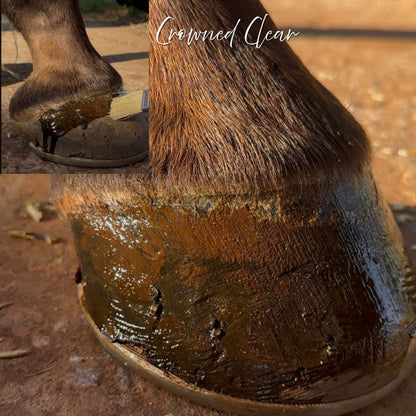 Horse Queened Polish It - 250ml