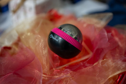 Equiball - 3 In 1 Massage Ball